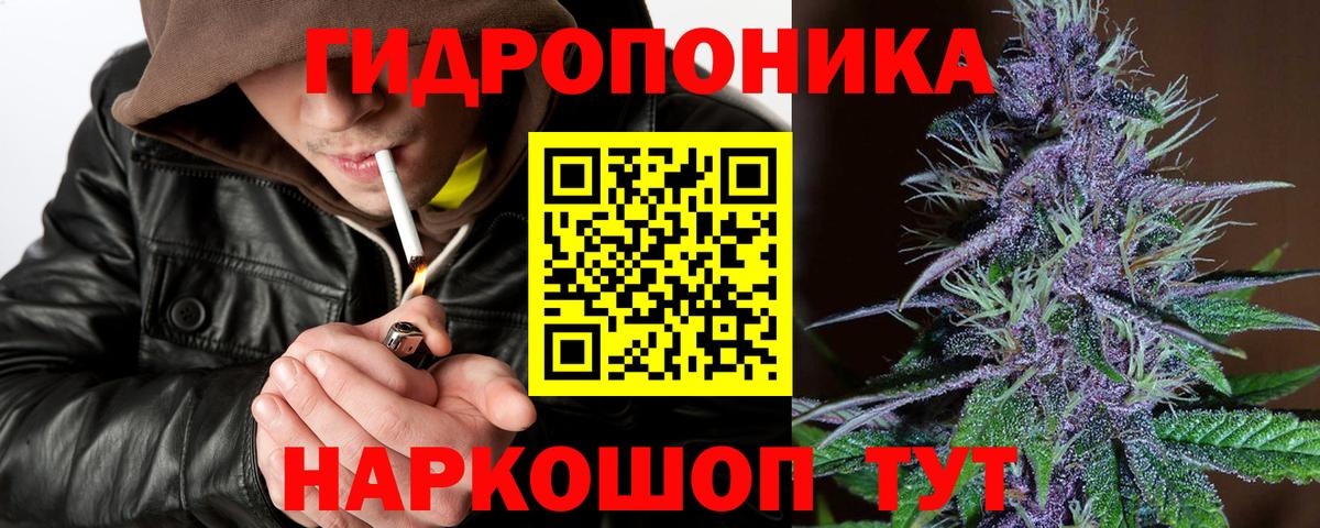 Конопля семена  Вход с VPN  Бошки Шишки сатива  Каннабис конопля  Будённовск  Марихуана Bruce Banner 